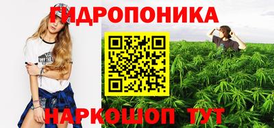 МДПВ Татарск