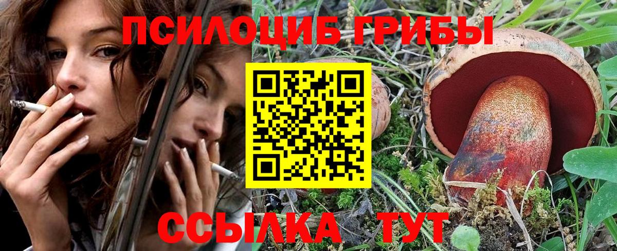 Новозыбков  Галлюциногенные грибы Cubensis  Галлюциногенные грибы мухоморы  Вход с VPN 