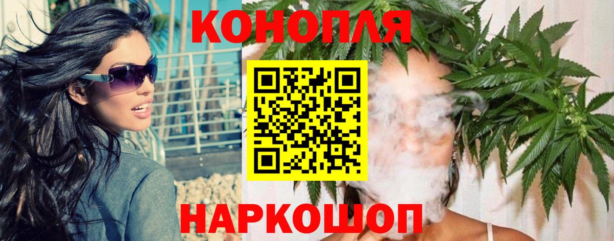 Бошки марихуана сатива Новозыбков